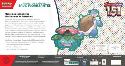 Collection Premium Pokémon – Eaux Florissantes (12 boosters + 5 cartes promo brillantes)